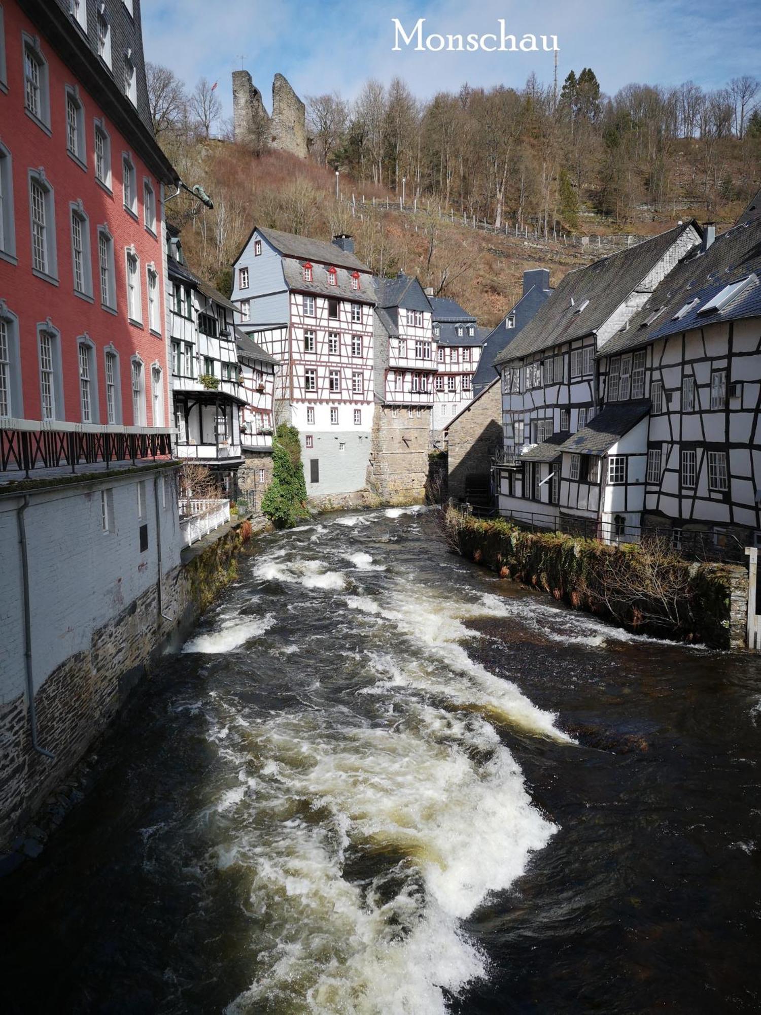 Ferienwohnung In Waldrandlage In Nationalpark Schleiden / Eifel Exterior foto