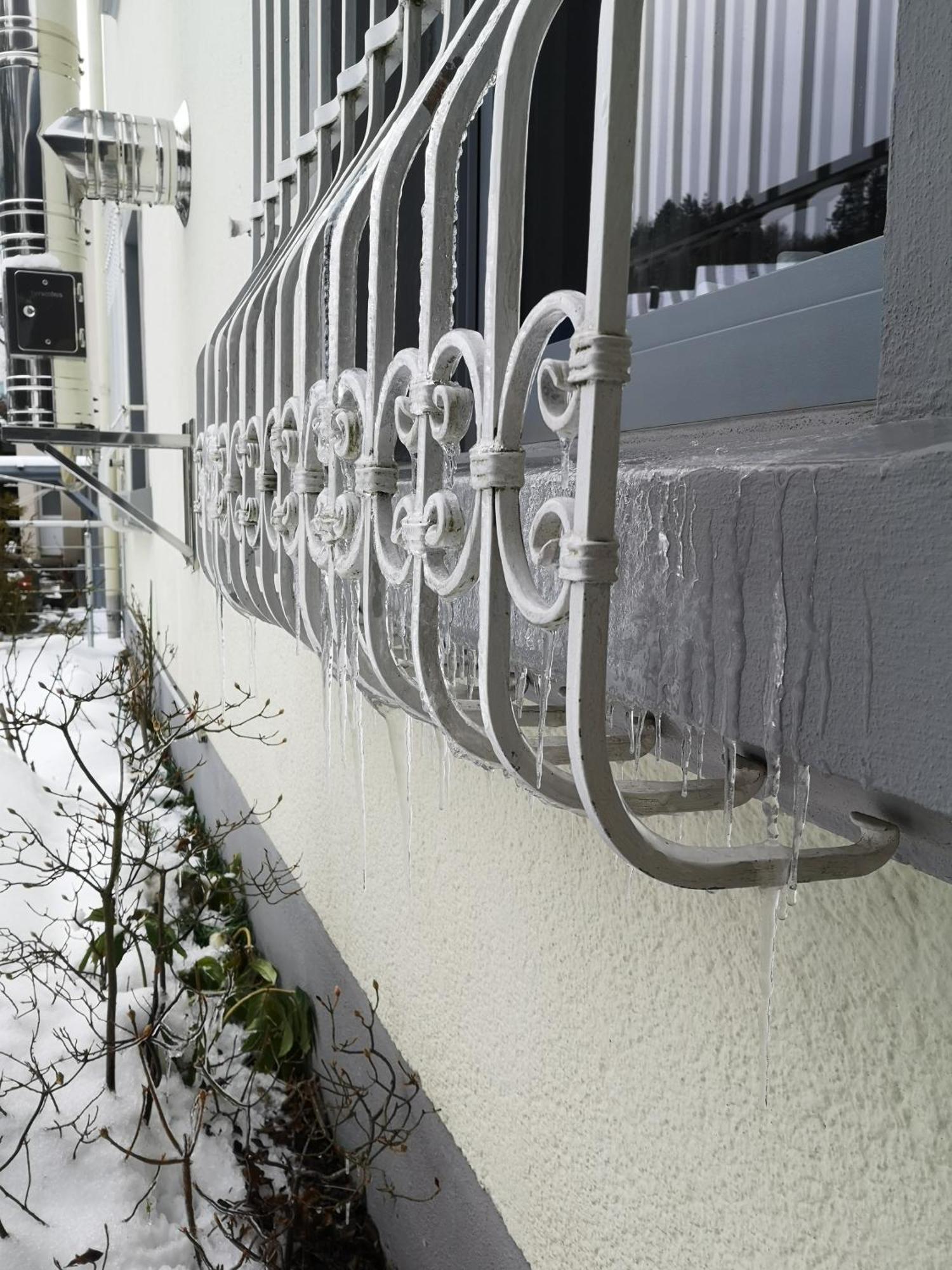 Ferienwohnung In Waldrandlage In Nationalpark Schleiden / Eifel Exterior foto