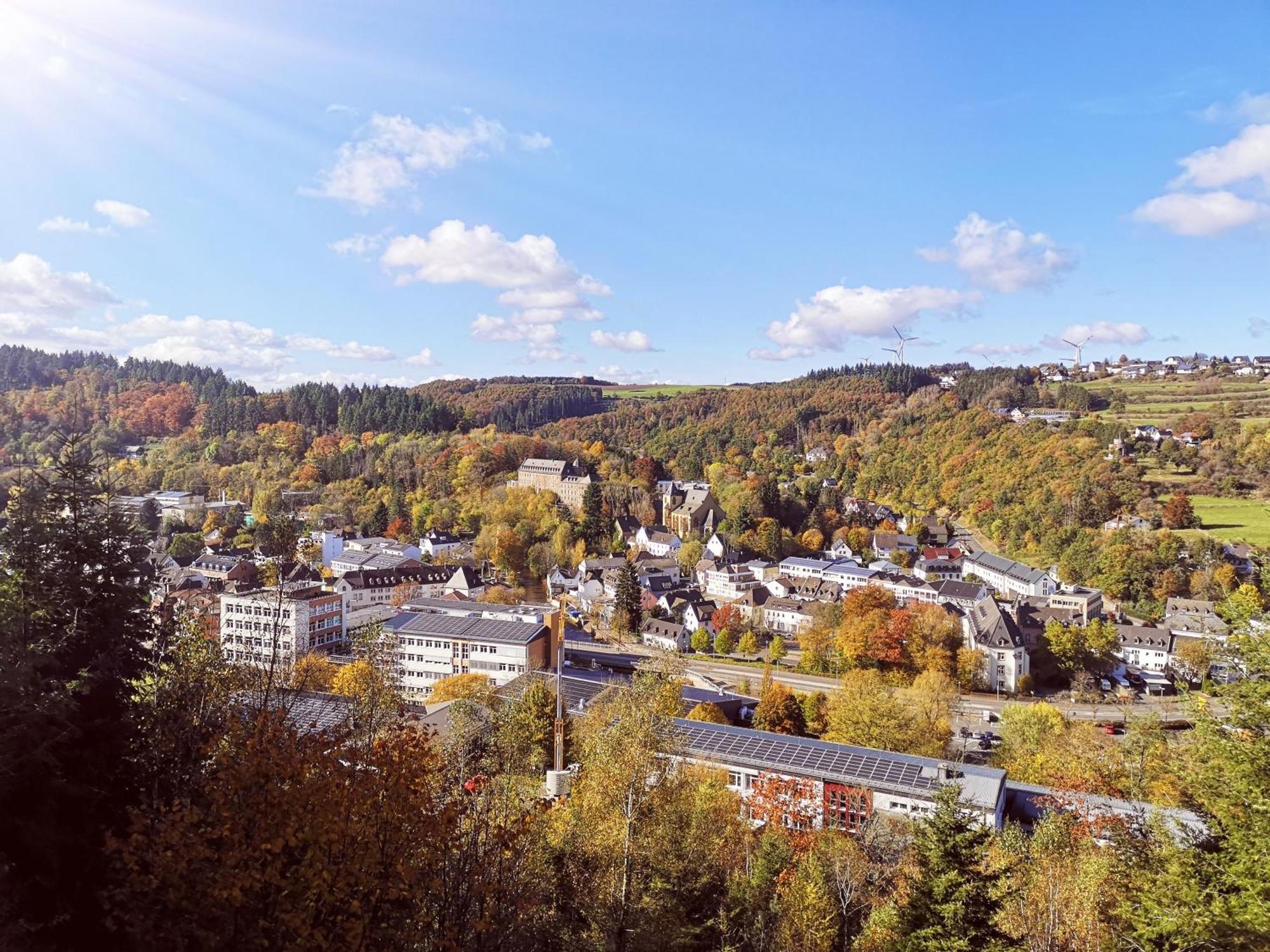 Ferienwohnung In Waldrandlage In Nationalpark Schleiden / Eifel Exterior foto